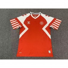 Danimarka 2023 İç Saha