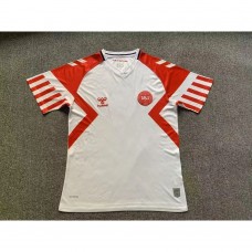 Danimarka 2023 Dış Saha