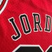HIZLI TESLİM - Chicago Bulls #JORDAN/23